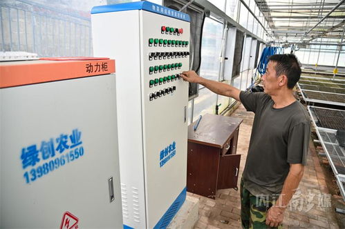 内江育苗工厂 科技赋能农业，空调房里种出“营养餐”