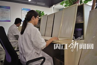 科技孵化 内江企业创新发展的强劲引擎